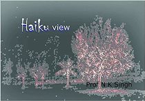 An Evening of Haiku Poetry