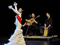 MUSIC APPRECIATION PROMOTION