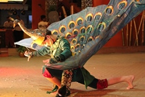 THE IIC EXPERIENCE : A FESTIVAL OF THE ARTS 2017