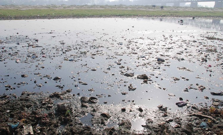 Environment and Health Public Lecture Series