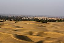 The Making of the Thar Desert