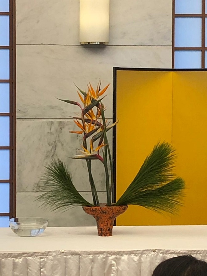 A Breath of Spring from Japan