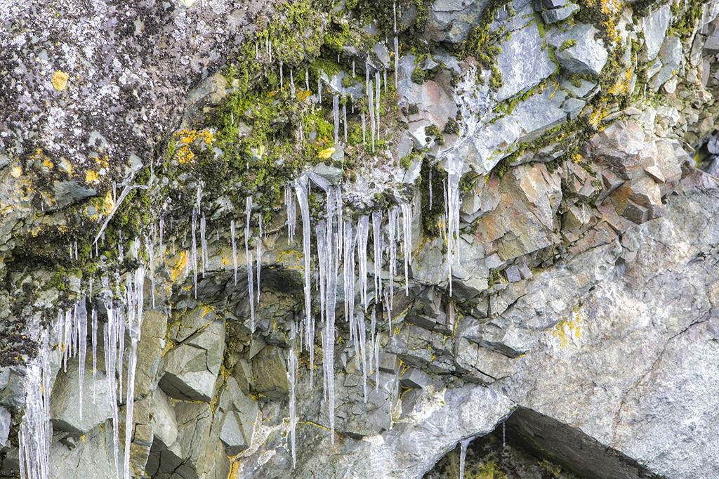 

<!-- THEME DEBUG -->
<!-- THEME HOOK: 'field' -->
<!-- FILE NAME SUGGESTIONS:
   ▪️ field--node--title--programs.html.twig
   ✅ field--node--title.html.twig
   ▪️ field--node--programs.html.twig
   ▪️ field--title.html.twig
   ▪️ field--string.html.twig
   ▪️ field.html.twig
-->
<!-- BEGIN OUTPUT from 'core/themes/stable9/templates/field/field--node--title.html.twig' -->
<span>ANTARCTICA - THE LAST FRONTIER</span>

<!-- END OUTPUT from 'core/themes/stable9/templates/field/field--node--title.html.twig' -->

