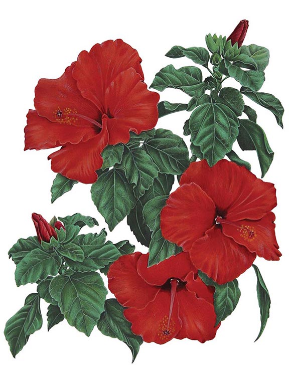 

<!-- THEME DEBUG -->
<!-- THEME HOOK: 'field' -->
<!-- FILE NAME SUGGESTIONS:
   ▪️ field--node--title--programs.html.twig
   ✅ field--node--title.html.twig
   ▪️ field--node--programs.html.twig
   ▪️ field--title.html.twig
   ▪️ field--string.html.twig
   ▪️ field.html.twig
-->
<!-- BEGIN OUTPUT from 'core/themes/stable9/templates/field/field--node--title.html.twig' -->
<span>Botanical Paintings of Indian Flowering Plants</span>

<!-- END OUTPUT from 'core/themes/stable9/templates/field/field--node--title.html.twig' -->

