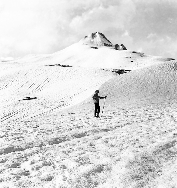 

<!-- THEME DEBUG -->
<!-- THEME HOOK: 'field' -->
<!-- FILE NAME SUGGESTIONS:
   ▪️ field--node--title--programs.html.twig
   ✅ field--node--title.html.twig
   ▪️ field--node--programs.html.twig
   ▪️ field--title.html.twig
   ▪️ field--string.html.twig
   ▪️ field.html.twig
-->
<!-- BEGIN OUTPUT from 'core/themes/stable9/templates/field/field--node--title.html.twig' -->
<span>THE THREE AMIGOS</span>

<!-- END OUTPUT from 'core/themes/stable9/templates/field/field--node--title.html.twig' -->

