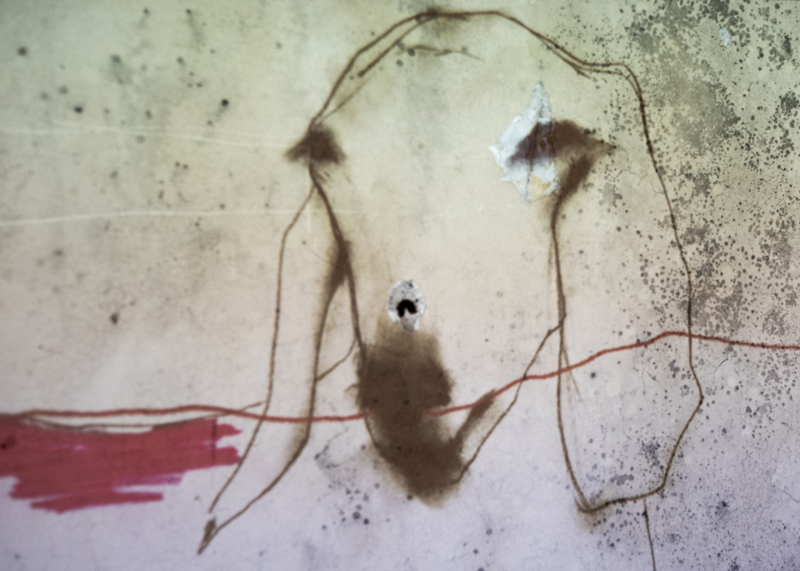 

<!-- THEME DEBUG -->
<!-- THEME HOOK: 'field' -->
<!-- FILE NAME SUGGESTIONS:
   ▪️ field--node--title--programs.html.twig
   ✅ field--node--title.html.twig
   ▪️ field--node--programs.html.twig
   ▪️ field--title.html.twig
   ▪️ field--string.html.twig
   ▪️ field.html.twig
-->
<!-- BEGIN OUTPUT from 'core/themes/stable9/templates/field/field--node--title.html.twig' -->
<span>Stream of Passion</span>

<!-- END OUTPUT from 'core/themes/stable9/templates/field/field--node--title.html.twig' -->

