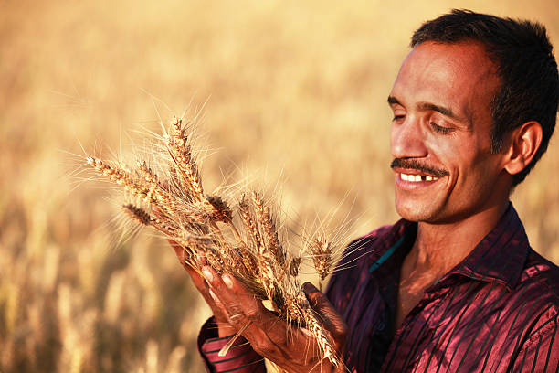 MAPPING SUSTAINABLE AGRICULTURE