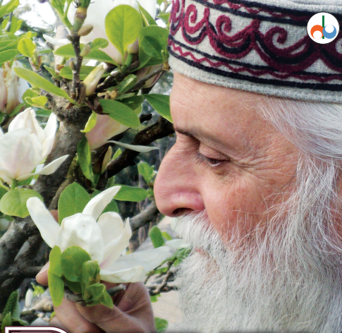 Rebel Angel: Collected Prose of Hoshang Merchant