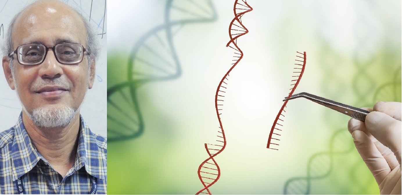 Unity and Diversity of India - A Genomic Reconstruction from Ancestral Footfalls