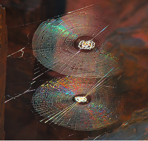 THE SCIENCE AND TECHNOLOGY LECTURE SERIES - Symmetries in Nature