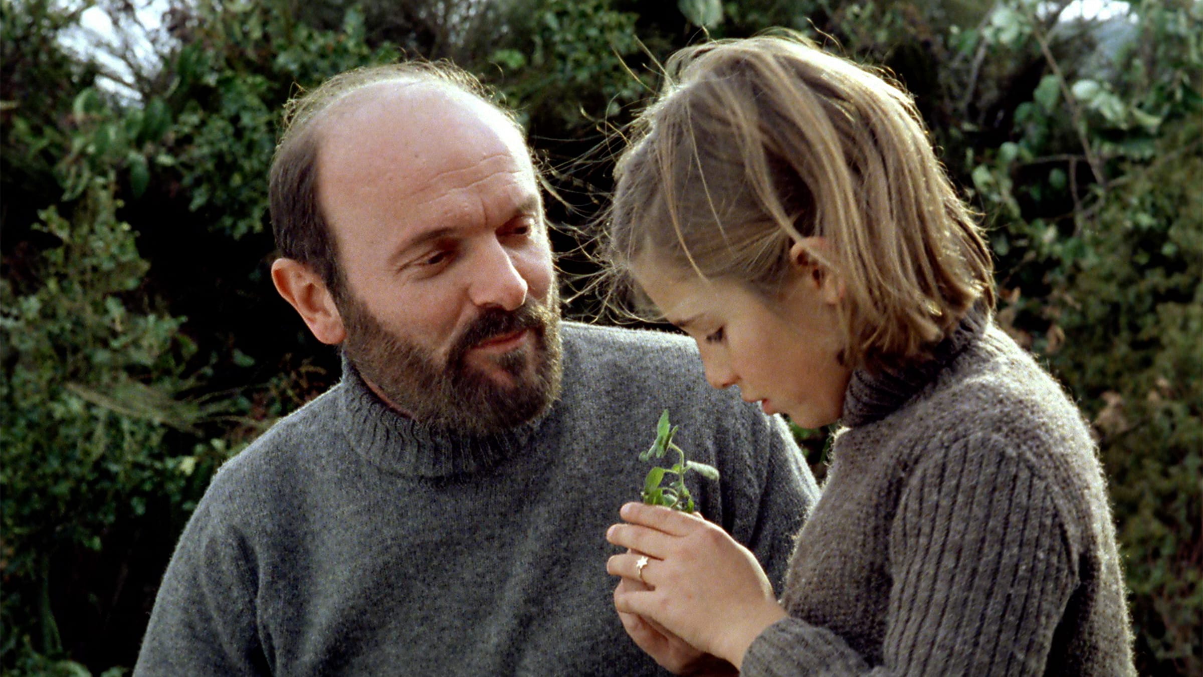 Classics with You: A Festival of Spanish Films (1973-1997)