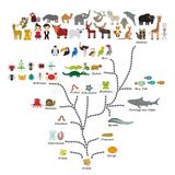 Evolution The Most Important Theory in Biology (99 min)