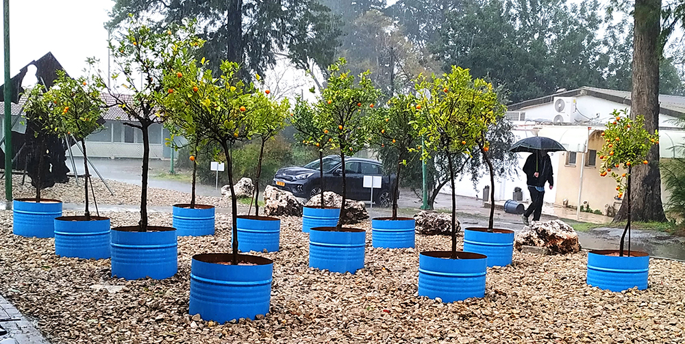 

<!-- THEME DEBUG -->
<!-- THEME HOOK: 'field' -->
<!-- FILE NAME SUGGESTIONS:
   ▪️ field--node--title--programs.html.twig
   ✅ field--node--title.html.twig
   ▪️ field--node--programs.html.twig
   ▪️ field--title.html.twig
   ▪️ field--string.html.twig
   ▪️ field.html.twig
-->
<!-- BEGIN OUTPUT from 'core/themes/stable9/templates/field/field--node--title.html.twig' -->
<span>Plain Abstract</span>

<!-- END OUTPUT from 'core/themes/stable9/templates/field/field--node--title.html.twig' -->

