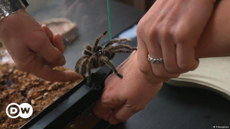 BE AFRAID: The Science of Fear