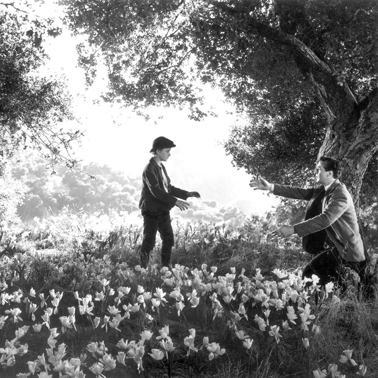 How Green Was My Valley