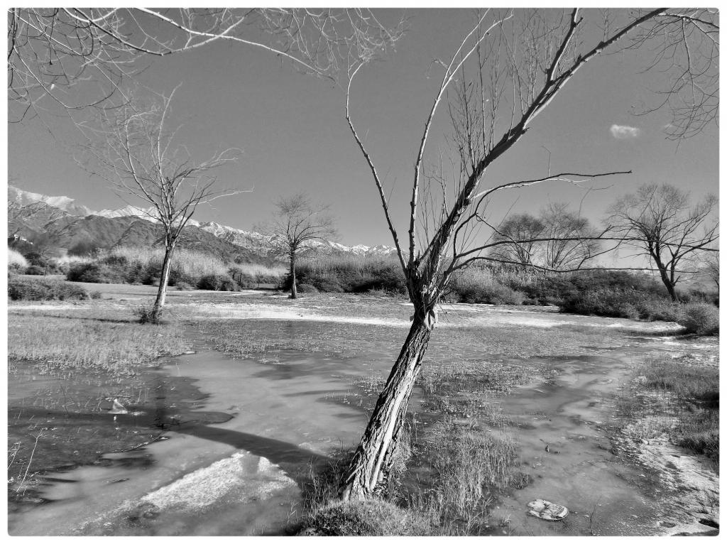 

<!-- THEME DEBUG -->
<!-- THEME HOOK: 'field' -->
<!-- FILE NAME SUGGESTIONS:
   ▪️ field--node--title--programs.html.twig
   ✅ field--node--title.html.twig
   ▪️ field--node--programs.html.twig
   ▪️ field--title.html.twig
   ▪️ field--string.html.twig
   ▪️ field.html.twig
-->
<!-- BEGIN OUTPUT from 'core/themes/stable9/templates/field/field--node--title.html.twig' -->
<span>    Two Banks Of a River- The Indus In Ladakh</span>

<!-- END OUTPUT from 'core/themes/stable9/templates/field/field--node--title.html.twig' -->

