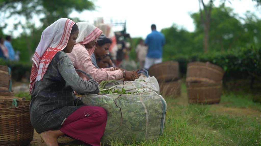 

<!-- THEME DEBUG -->
<!-- THEME HOOK: 'field' -->
<!-- FILE NAME SUGGESTIONS:
   ▪️ field--node--title--programs.html.twig
   ✅ field--node--title.html.twig
   ▪️ field--node--programs.html.twig
   ▪️ field--title.html.twig
   ▪️ field--string.html.twig
   ▪️ field.html.twig
-->
<!-- BEGIN OUTPUT from 'core/themes/stable9/templates/field/field--node--title.html.twig' -->
<span>ArtEast 2021: Tell me a Story - Film Festival Part I</span>

<!-- END OUTPUT from 'core/themes/stable9/templates/field/field--node--title.html.twig' -->

