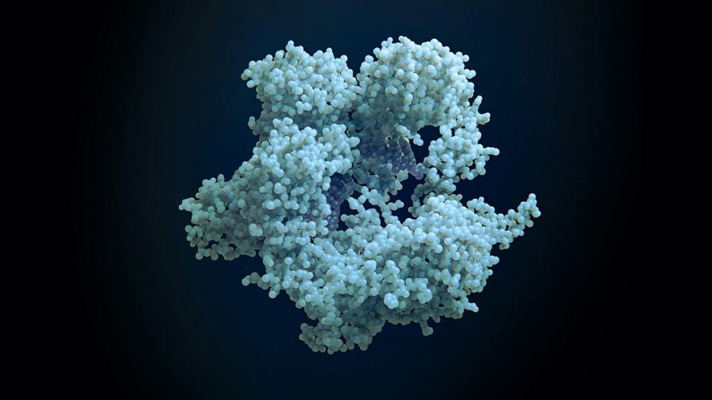 The Gene Code (2011)