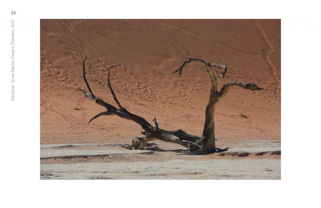 

<!-- THEME DEBUG -->
<!-- THEME HOOK: 'field' -->
<!-- FILE NAME SUGGESTIONS:
   ▪️ field--node--title--programs.html.twig
   ✅ field--node--title.html.twig
   ▪️ field--node--programs.html.twig
   ▪️ field--title.html.twig
   ▪️ field--string.html.twig
   ▪️ field.html.twig
-->
<!-- BEGIN OUTPUT from 'core/themes/stable9/templates/field/field--node--title.html.twig' -->
<span>Pristine</span>

<!-- END OUTPUT from 'core/themes/stable9/templates/field/field--node--title.html.twig' -->

