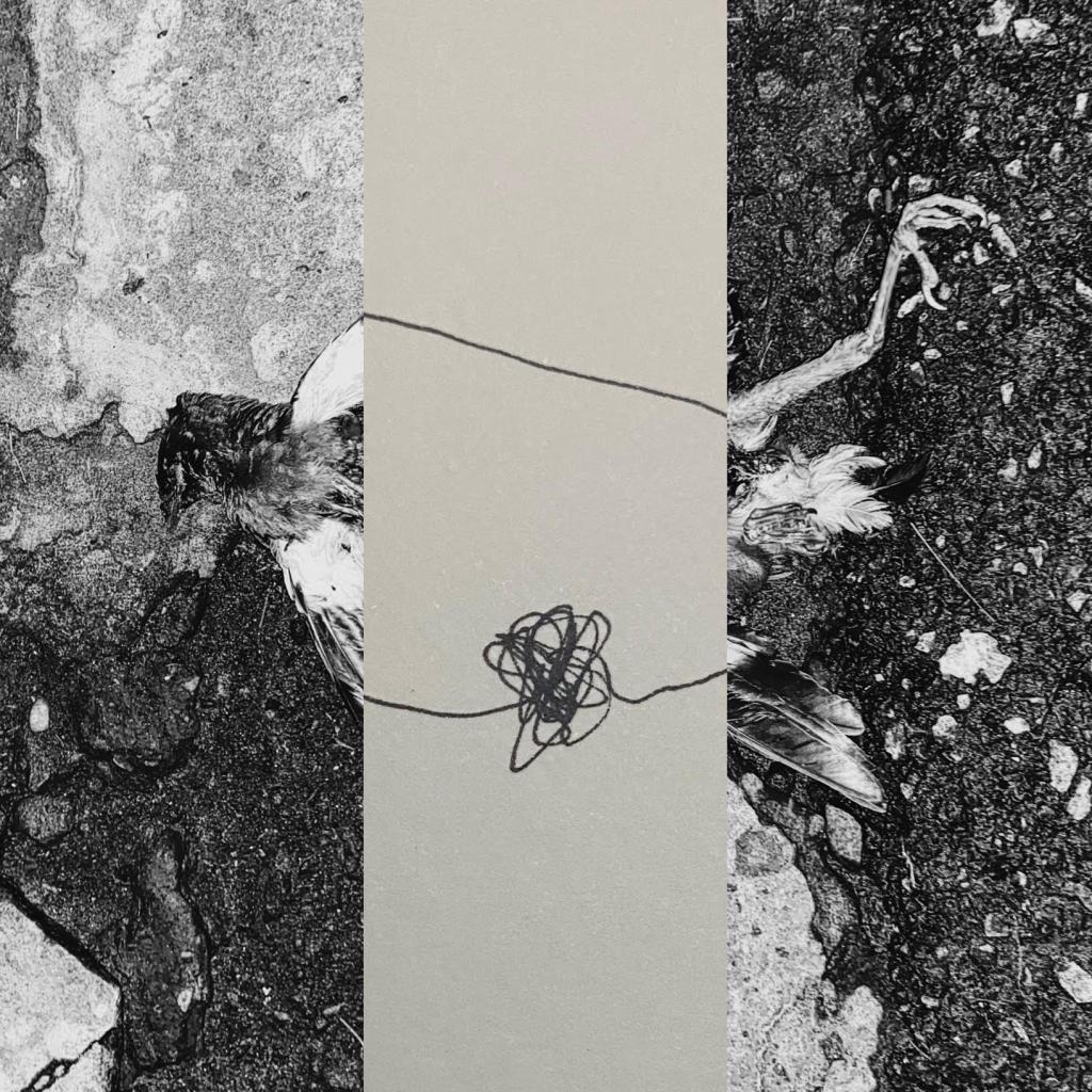 

<!-- THEME DEBUG -->
<!-- THEME HOOK: 'field' -->
<!-- FILE NAME SUGGESTIONS:
   ▪️ field--node--title--programs.html.twig
   ✅ field--node--title.html.twig
   ▪️ field--node--programs.html.twig
   ▪️ field--title.html.twig
   ▪️ field--string.html.twig
   ▪️ field.html.twig
-->
<!-- BEGIN OUTPUT from 'core/themes/stable9/templates/field/field--node--title.html.twig' -->
<span> This will Keep you Warm</span>

<!-- END OUTPUT from 'core/themes/stable9/templates/field/field--node--title.html.twig' -->

