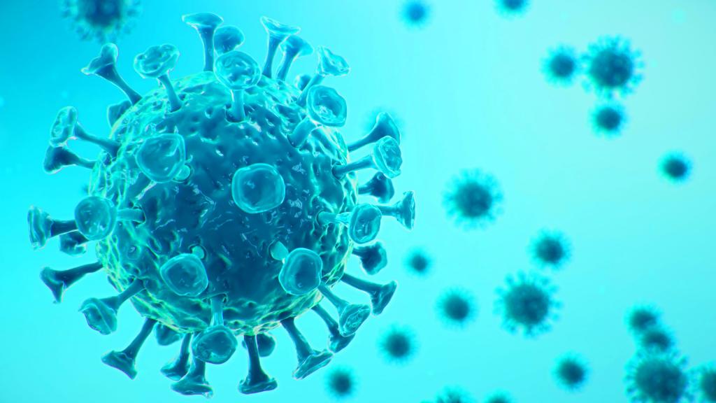 Decoding the Pandemic