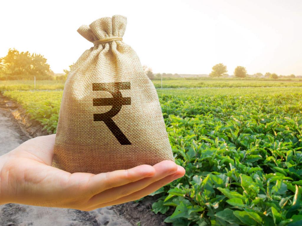 Release of the Report