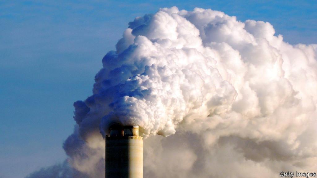 To Mark World Environment Day 2022