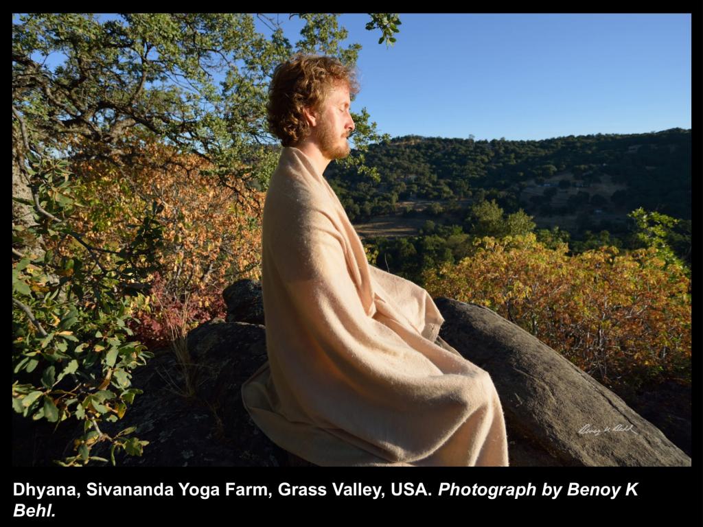 

<!-- THEME DEBUG -->
<!-- THEME HOOK: 'field' -->
<!-- FILE NAME SUGGESTIONS:
   ▪️ field--node--title--programs.html.twig
   ✅ field--node--title.html.twig
   ▪️ field--node--programs.html.twig
   ▪️ field--title.html.twig
   ▪️ field--string.html.twig
   ▪️ field.html.twig
-->
<!-- BEGIN OUTPUT from 'core/themes/stable9/templates/field/field--node--title.html.twig' -->
<span>To Mark International Day of Yoga 2022</span>

<!-- END OUTPUT from 'core/themes/stable9/templates/field/field--node--title.html.twig' -->

