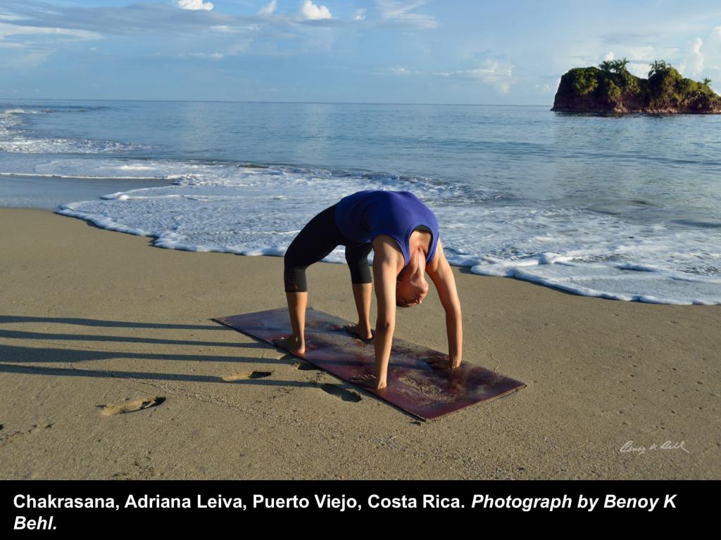 

<!-- THEME DEBUG -->
<!-- THEME HOOK: 'field' -->
<!-- FILE NAME SUGGESTIONS:
   ▪️ field--node--title--programs.html.twig
   ✅ field--node--title.html.twig
   ▪️ field--node--programs.html.twig
   ▪️ field--title.html.twig
   ▪️ field--string.html.twig
   ▪️ field.html.twig
-->
<!-- BEGIN OUTPUT from 'core/themes/stable9/templates/field/field--node--title.html.twig' -->
<span>To Mark International Day of Yoga 2022</span>

<!-- END OUTPUT from 'core/themes/stable9/templates/field/field--node--title.html.twig' -->

