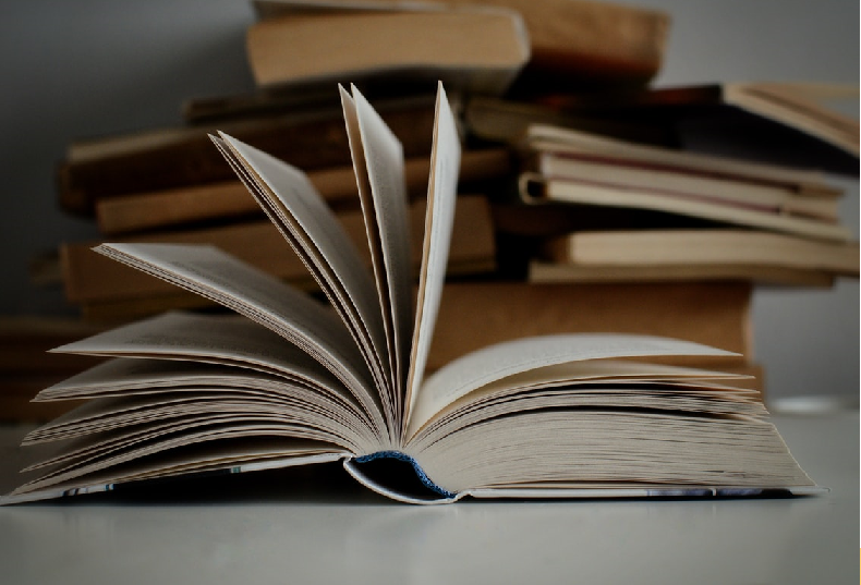 The Modern Indian Writer in Translation: Context, Issues and Problematics  Coordinated by Sukrita Paul Kumar and Chandana Dutta