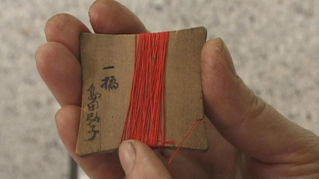 The Mushroom Club (USA)