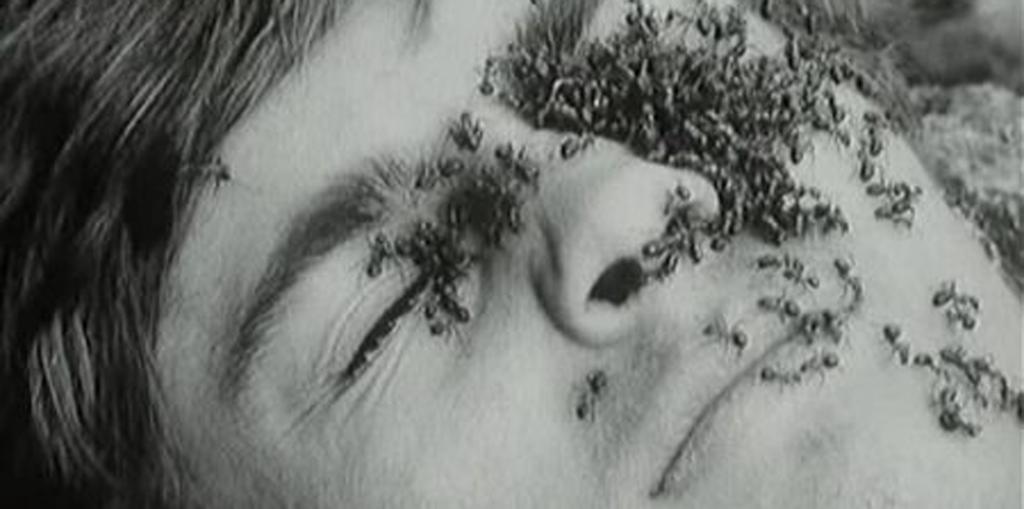 The IIC Experience: A Festival of the Arts 14 to 20 October 2022