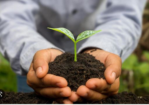 QUOTES FROM THE EARTH: AN ENVIRONMENTAL FILM FESTIVAL