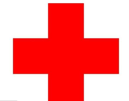 The ICRC: Its Unique Humanitarian Mission