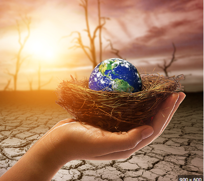 CLIMATE CHANGE: IMPACT ON INDIA AND POLICY IMPERATIVE