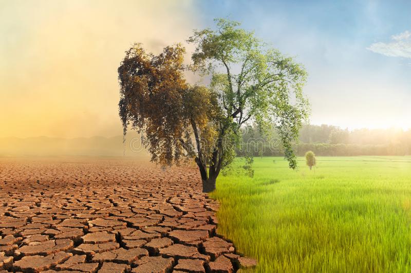 CLIMATE CHANGE: IMPACT ON INDIA AND POLICY IMPERATIVE